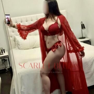 Selfie Pics from Hanna Rouge - Private Escort Touring