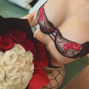 Selfie Pics from Ari King - Private Escort Sydney