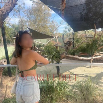 Selfie Pics from Maxine Sung - Private Escort Melbourne