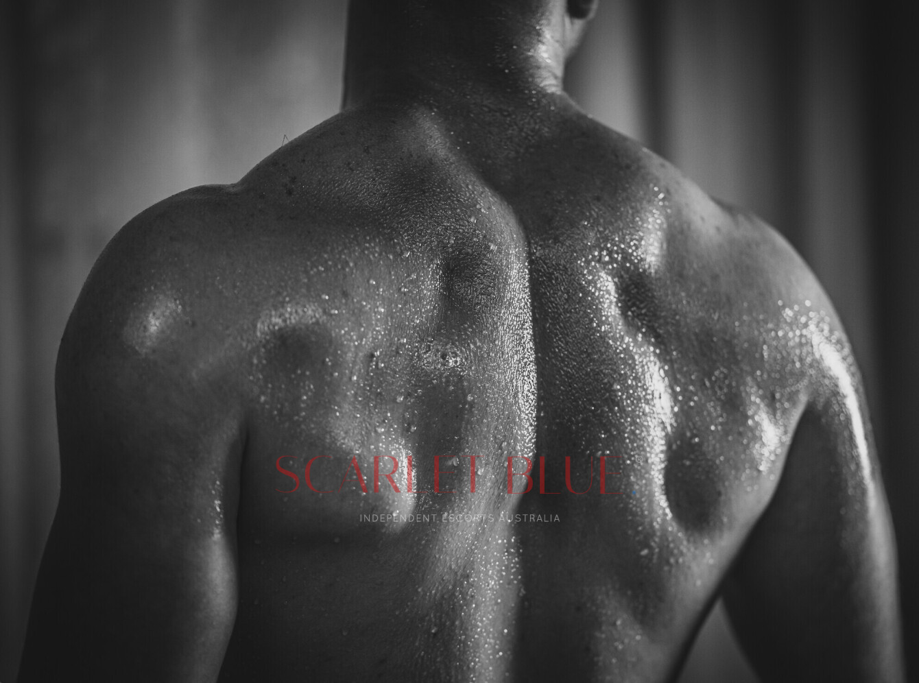 Clients favourite image for the review of Owen James - Melbourne Escort