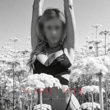 Selfie Pics from Holly Sterling - Private Escort Melbourne